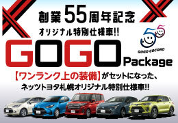 ネッツトヨタ札幌オリジナル特別仕様車 GOGO Package