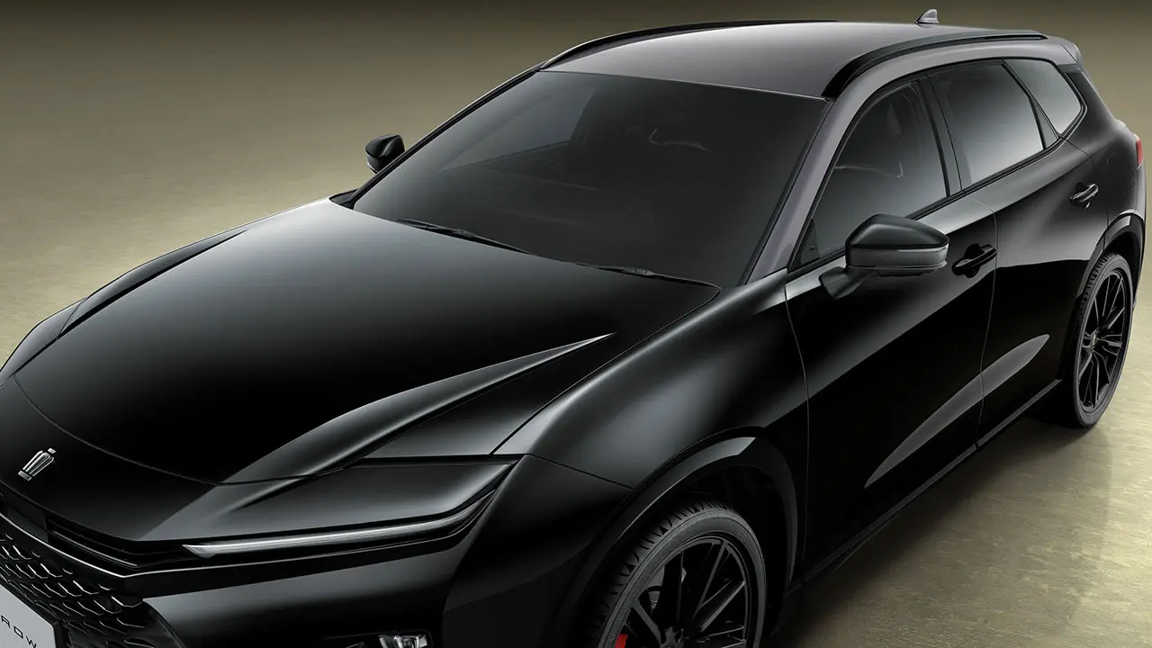 【バイトーン】プレシャスメタル〈1L5〉× ブラック〈202〉［M76］