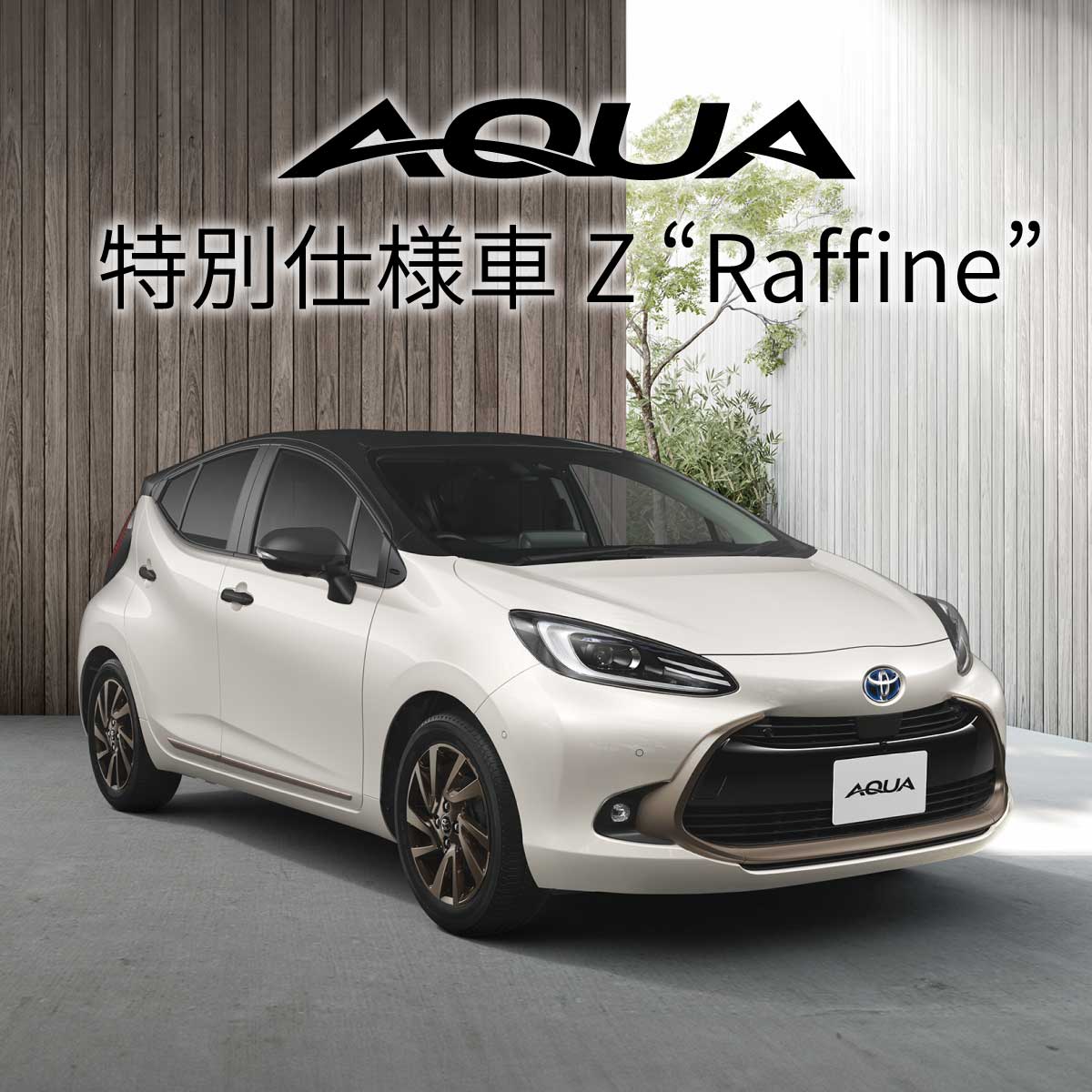 アクア特別仕様車 Z Raffine