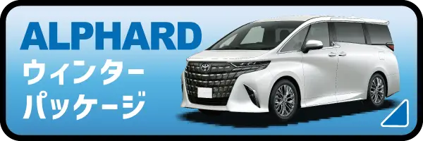 【アルファード】ALPHARD ウィンターパッケージ
