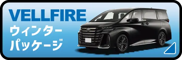 【ヴェルファイア】VELLFIRE ウィンターパッケージ