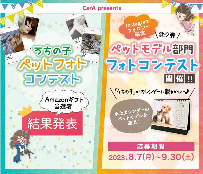 うちの子ペットフォトコンテスト結果発表&第２弾ペットモデルコンテスト開催