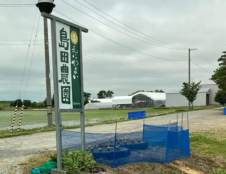 就農体験【米米club】