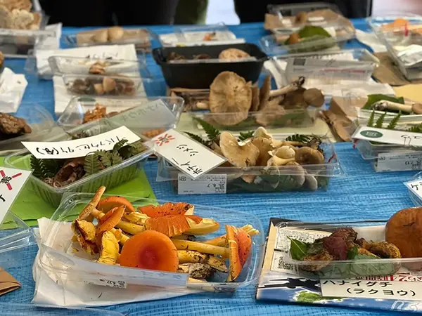 【TOYOTA SOCIAL FES 2025】