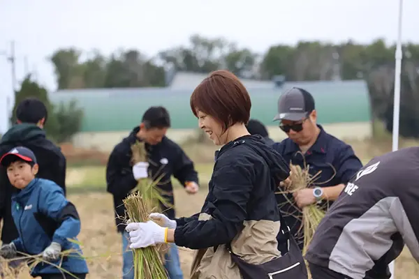 【島田農園「米米club」稲刈り】