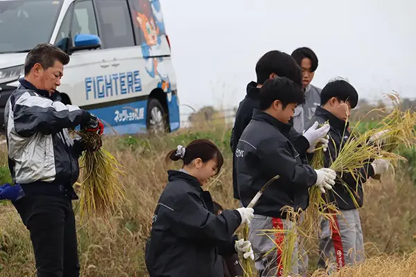 【島田農園「米米club」稲刈り】