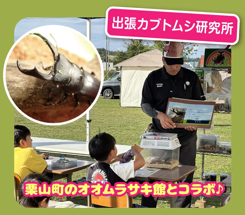 出張カブトムシ研究所