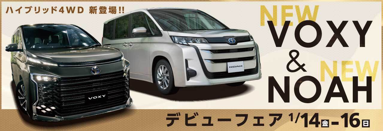 NEWヴォクシー&ノア デビューフェア