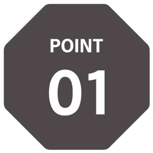 point.1