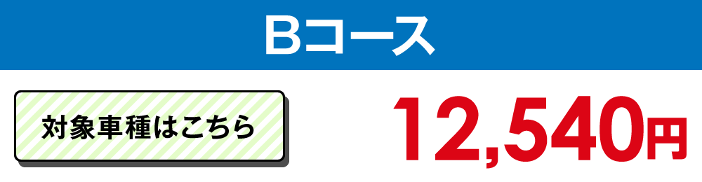 Bタイプ 12,540円