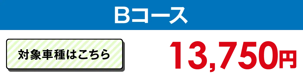 Bタイプ 13,750円