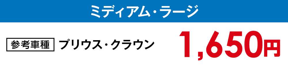 【水洗い洗車】ミディアム・ラージ【1,650円】