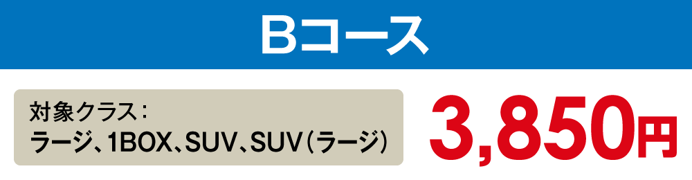 【Bコース】ラージ、1BOX、SUV、SUV(ラージ)【3,850円】